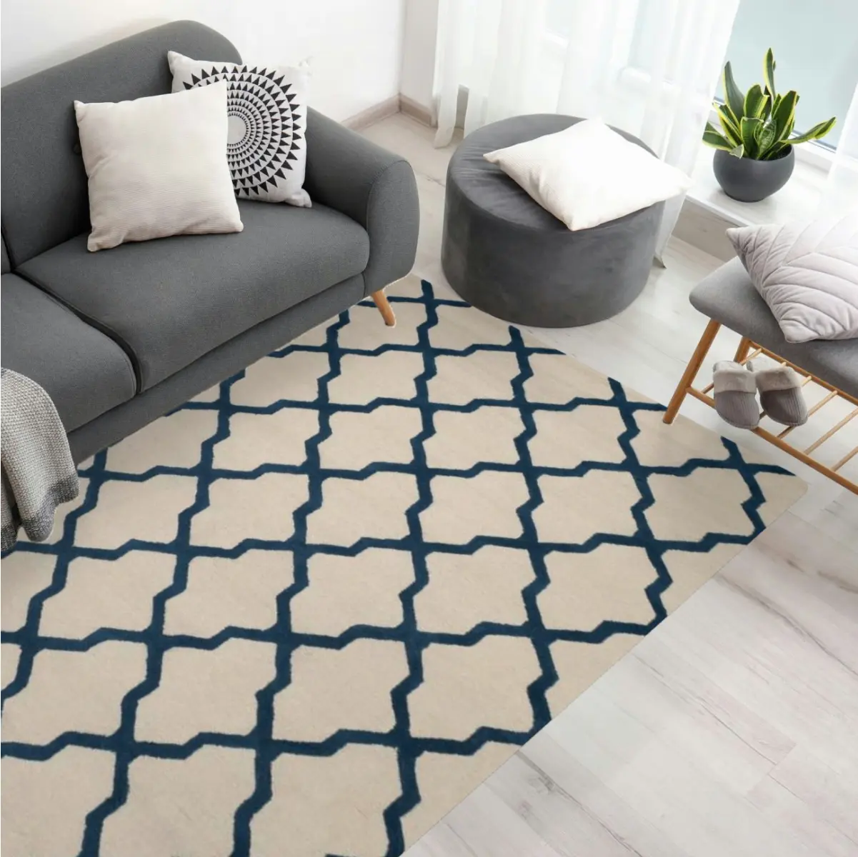 Roomvo-Beispiel mit einem gemusterten Teppich in einem Wohnzimmer